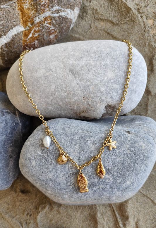 COLLAR MAR