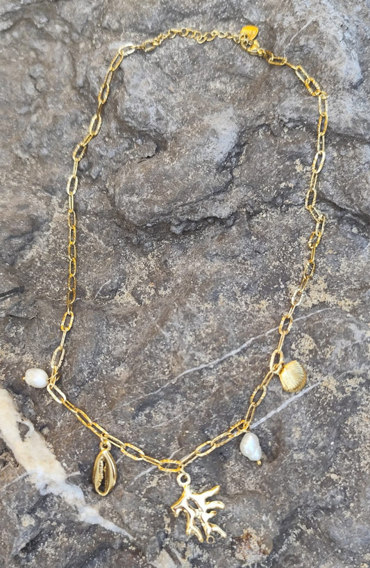 COLLAR CORAL