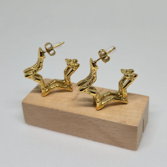 PENDIENTES STAR DORADO