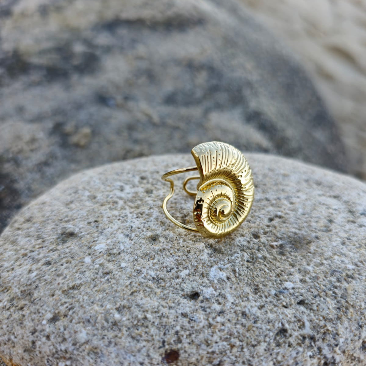 ANEL DE CARACOL